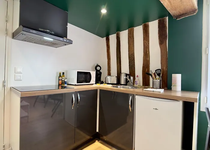 Apartament Gare - Chez Alfred